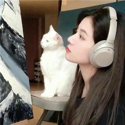 咱们裸熊第二季